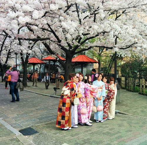 Click image for larger version

Name:	Explore a True Japanese Phenomenon When Cherry Blossoms Bloom in Kyoto.jpg
Views:	355
Size:	125.3 KB
ID:	47