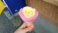 Click image for larger version

Name:	DSC_0204.JPG
Views:	364
Size:	72.5 KB
ID:	805