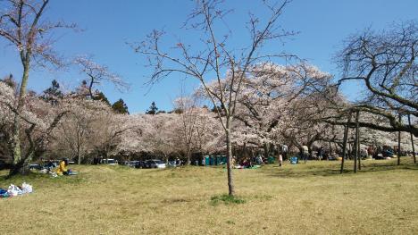 Click image for larger version

Name:	DSC_1243.JPG
Views:	48
Size:	32.3 KB
ID:	919