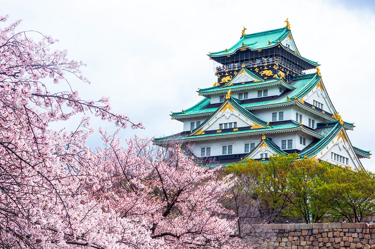 Click image for larger version

Name:	City-guides_things-to-do-in-Osaka_Japan_Osaka-Castle_cherry-blossoms_sakura.jpg
Views:	267
Size:	456.7 KB
ID:	1690